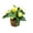 A, variant on Mini Artificial Lemon Tree, Faux Greenery Desktop Decor for Home, Wedding & Office Tabletop Accents