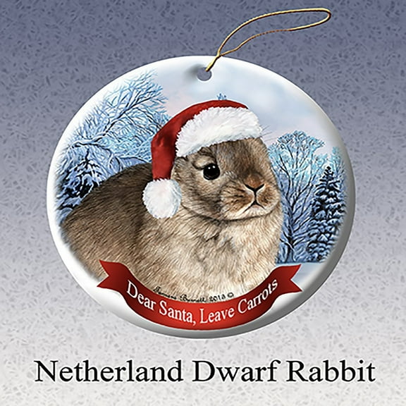Holiday Pet Gifts Netherland Dwarf Rabbit Santa Hat Porcelain Christmas Ornament