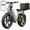 Yellow+Trunk, variant on TST Electric Bike for Women, 750W Peak 1500W Motor, 48V15AH Battery, 20" x 4" Fat Tire, Hydraulic Disc Brakes, Tested to UL 2849 Standard by SGS