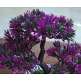 thumbnail image 5 of Planta artificial en maceta Ganoderma Simulación Bonsai Árbol Plantas verdes al aire libre Decoración del hogar Sala Comedor Mesa Dormitorio Oficina Decoración Simulación Planta en maceta Pl, 5 of 5