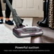 thumbnail image 3 of Aspiradora Vertical Ultra Ligera Shark Rocket TruePet, 3 of 9
