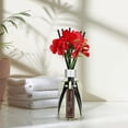 thumbnail image 4 of Difusor Reed Aronica con temática de amapola roja, 200 ml, para baño, 4 of 7