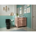 thumbnail image 4 of Ally 12 in. Rough in Size 1-Piece 0.8/1.28 GPF Dual Flush Elongated Toilet in Black, Seat Included, 4 of 16