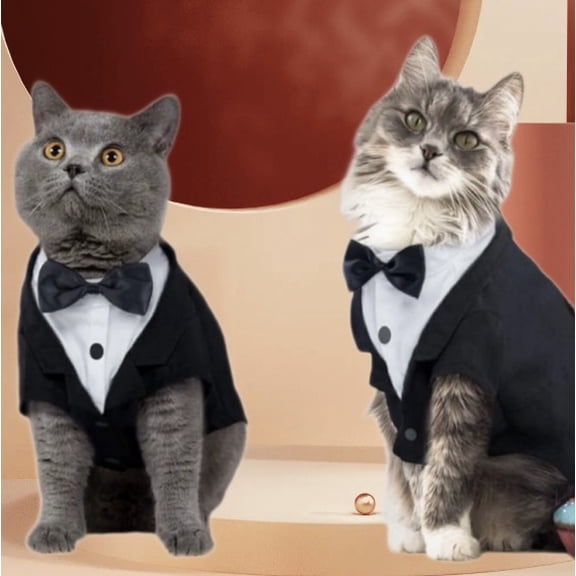 1 set of kitten formal shirt | Fashionable pet cat tuxedo suit with tie design | Special for holiday weddings |