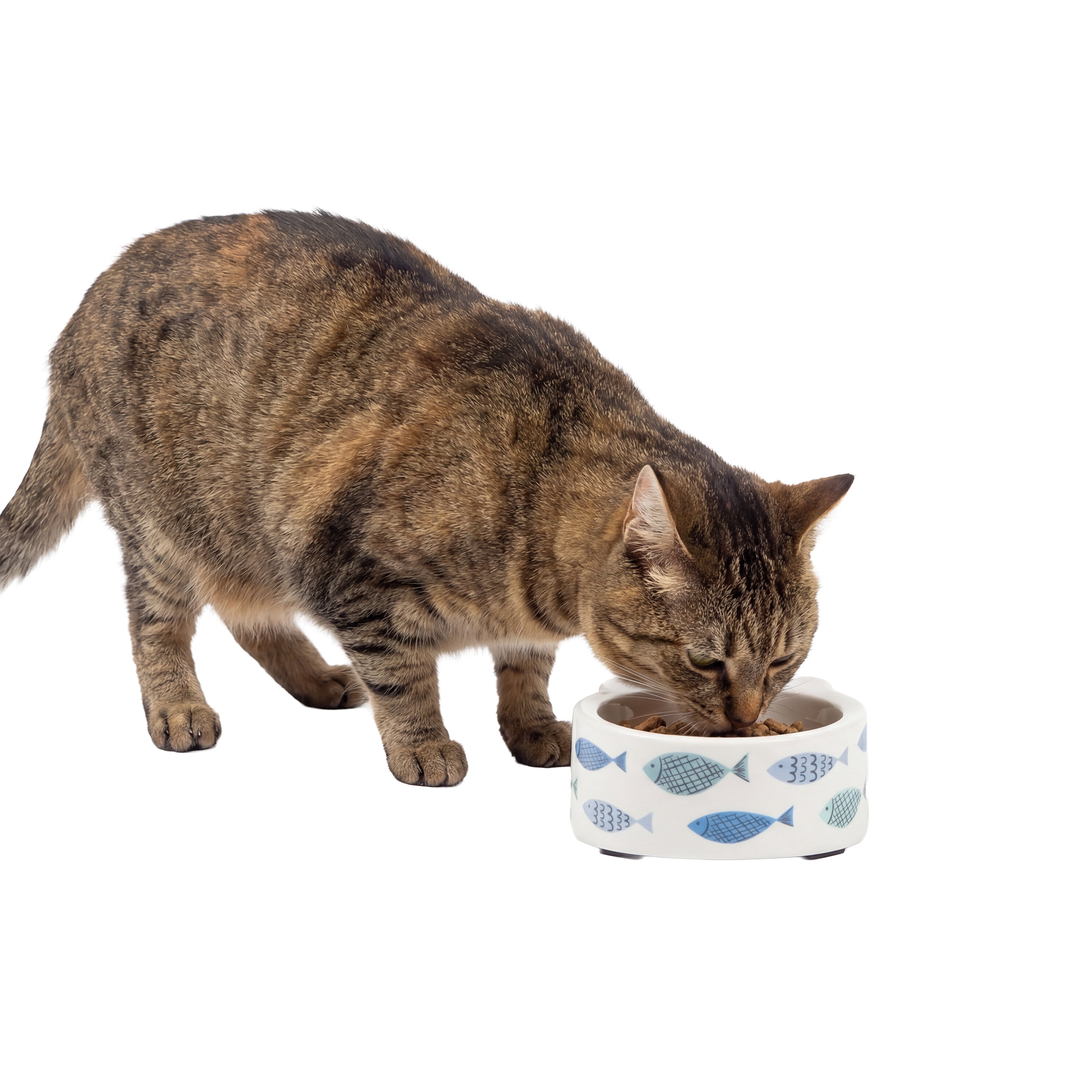 Kitty City Fish Print Dishwasher Safe Plastic Raised Cat Ears Bowl, Blue, One Size