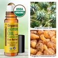 thumbnail image 4 of Aceite de ricino orgánico Eye Roller Seven Minerals, 10 ml, 4 of 6