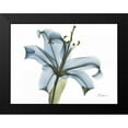 thumbnail image 2 of Koetsier, Albert 24x19 Black Modern Framed Museum Art Print Titled - Lily in Pink on Blue, 2 of 5