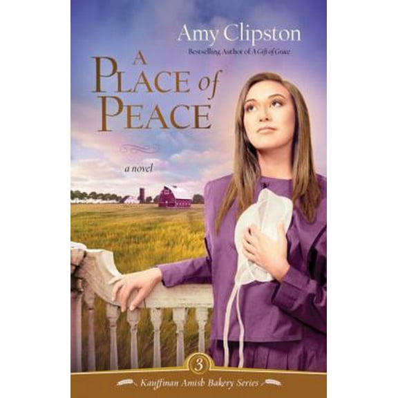 Pre-Owned A Place of Peace (Paperback) 0310319951 9780310319955
