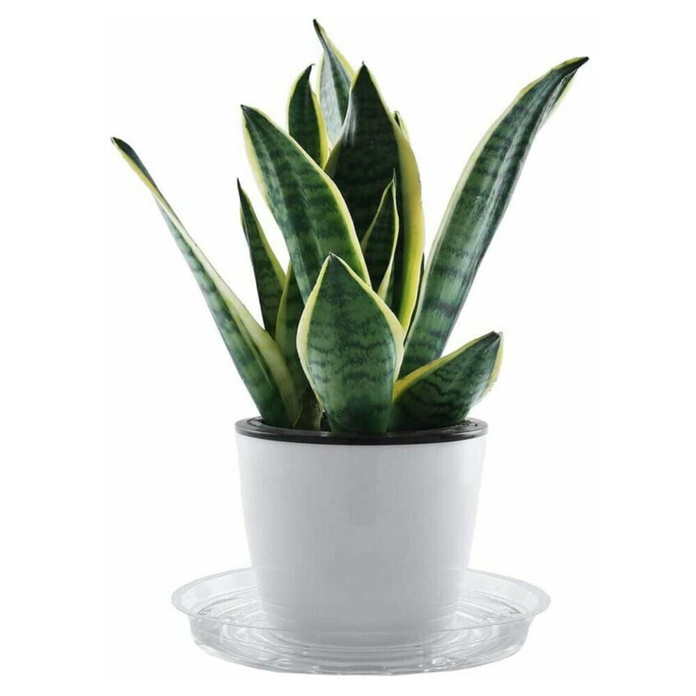 Round Strong Plastic Plant Pot Saucer Base Water Drip Tray Saucers Multi-size SH 