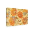 thumbnail image 2 of Trademark Fine Art 'Samba' Canvas Art by Albena Hristova, 2 of 3