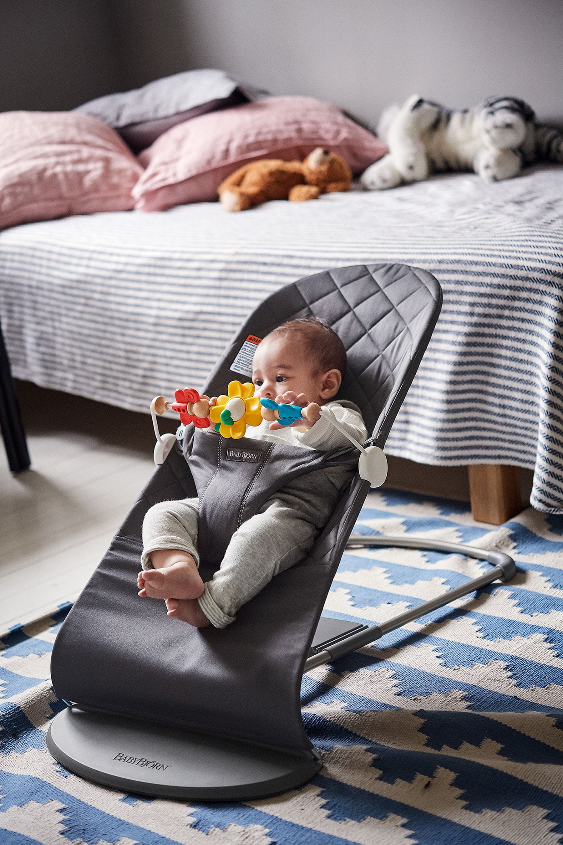Baby bjorn cheap bouncer bundle