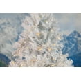 thumbnail image 6 of Novelty Lights 50 Light Yellow LED Christmas Mini Light Set (White Wire, 11 feet), 6 of 6