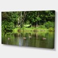 thumbnail image 2 of Bushes and Trees in River Bank - Impression sur Toile Paysage, 2 of 3