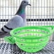 thumbnail image 4 of 2 unids resistente de aves cría cuenca de nido práctico carne paloma nido cuenca (verde), 4 of 8