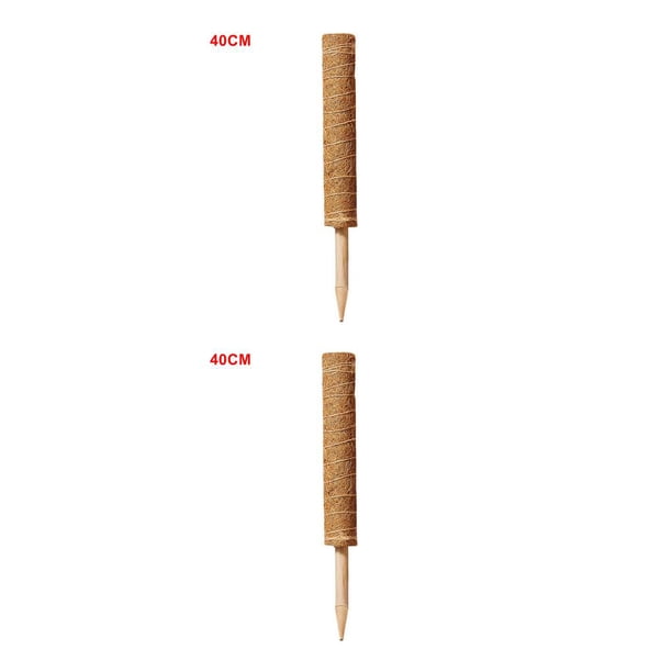 Moyic Palo de musgo de fibra de coco para trepar plantas, 1 unidad 40CM 2piezas Moyic CBP087906