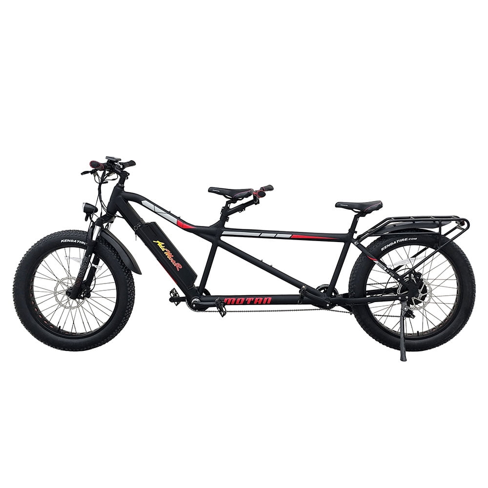 2 seater e bike