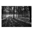 thumbnail image 3 of Tiptophomedecor Landscape Wallpaper Wall Mural - The Light In The Forest, 3 of 4