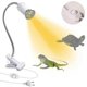 thumbnail image 1 of Reptile Heating Lamp Turtle Basking In The Sun Spotlight Turtle 360 Rotatable Lamp Clip Flexible Ceramic Clip Lamp Socket Socket With Dimmer Swit(haoy, 1 of 5