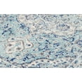thumbnail image 3 of Bashian Alberta Transitional Floral Area Rug, 3 of 4