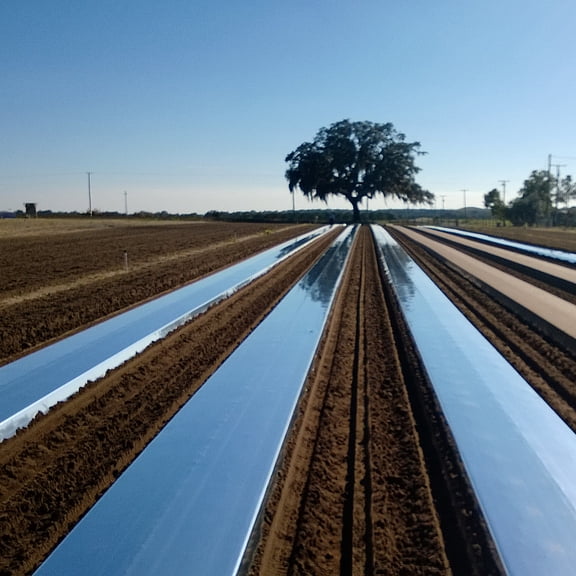 WSTEER 1pc Reflective Mylar Film Warm Keeping Foil Slices for Garden Green House