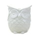 thumbnail image 1 of Maceta con forma de búho, bonita maceta de cerámica decorativa, maceta de búho para No escuches blanco, 1 of 9