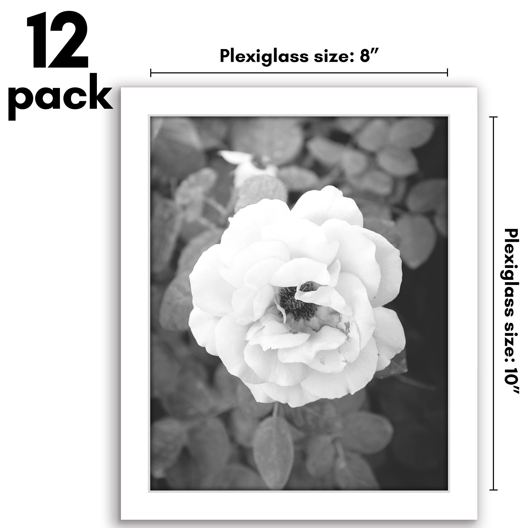 Americanflat 8" x 10" Picture Frame Set to Enhance Wall Decor - White - 12 Pack