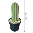 thumbnail image 3 of Rack 1 Cactus Toothpick Holder 3D Printed Cactus Toothpick Dispenser Succulent Shaped Container for Kitchen Gadgets, 3 of 8