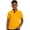 Hudson Gold, variant on U.S Polo Assn. Boys Colorblock Polo Shirt, Sizes 4-18