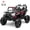 Black, variant on iRerts 24V Powered Ride on Toys, Electric Ride on UTV with Remote Control, Four-Wheel Suspension, LED Lights, Bluetooth Music, Ride on Cars Vehicle for Kids Ages 3-6, Blue