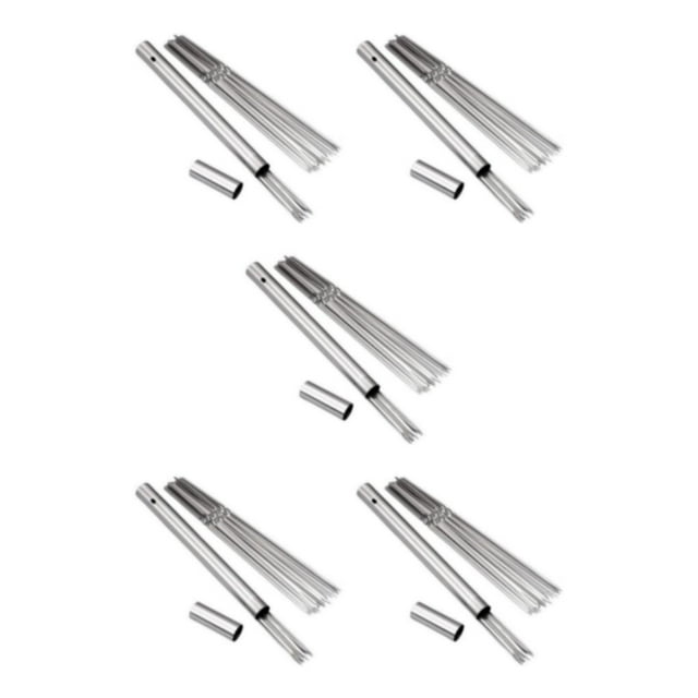 Scienceny Palo para barbacoa de acero inoxidable, herramienta definitiva para asar kebabs con facilidad, se puede lavar en lavavajillas, palo + Type2 NO2