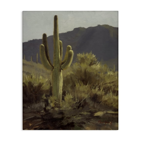 Stupell Industries Bold Cactus Mountain Overlook Landscape & Nature Painting Wrapped Canvas Canvas Art Print Wall Art, 16 x 20