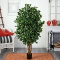 thumbnail image 4 of Nearly Natural 5.5' Ficus Artificial Tree, 4 of 7