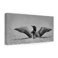 thumbnail image 4 of Jim Cumming 'Common Loon In Black And White' Canvas Art, 4 of 4