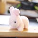 thumbnail image 5 of Precioso muñeco de peluche de conejo y oso, conejo, llavero, colgante de bolsa, juguetes de peluche, regalo de cumpleaños para bebés y niños, conejo de juguete, anillo, 5 of 5