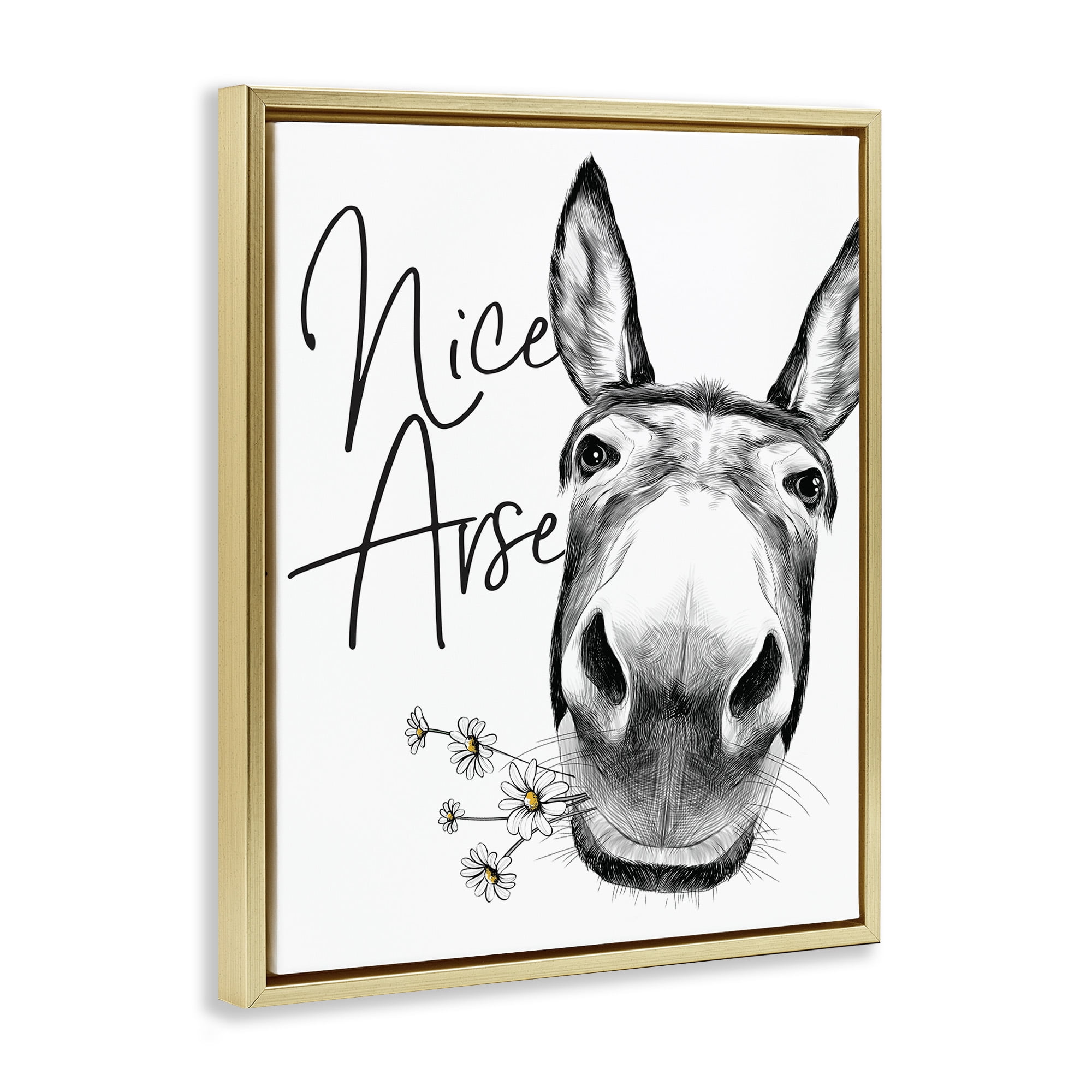 Stupell Industries Nice Arse Donkey Pun Animals & Insects Painting Gold Floater Framed Canvas Art Print Wall Art, 17 x 21