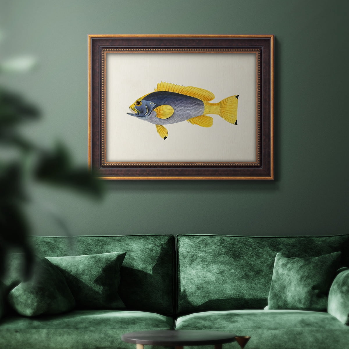 Tropical Fish Collection V Premium Framed Canvas- Ready to Hang