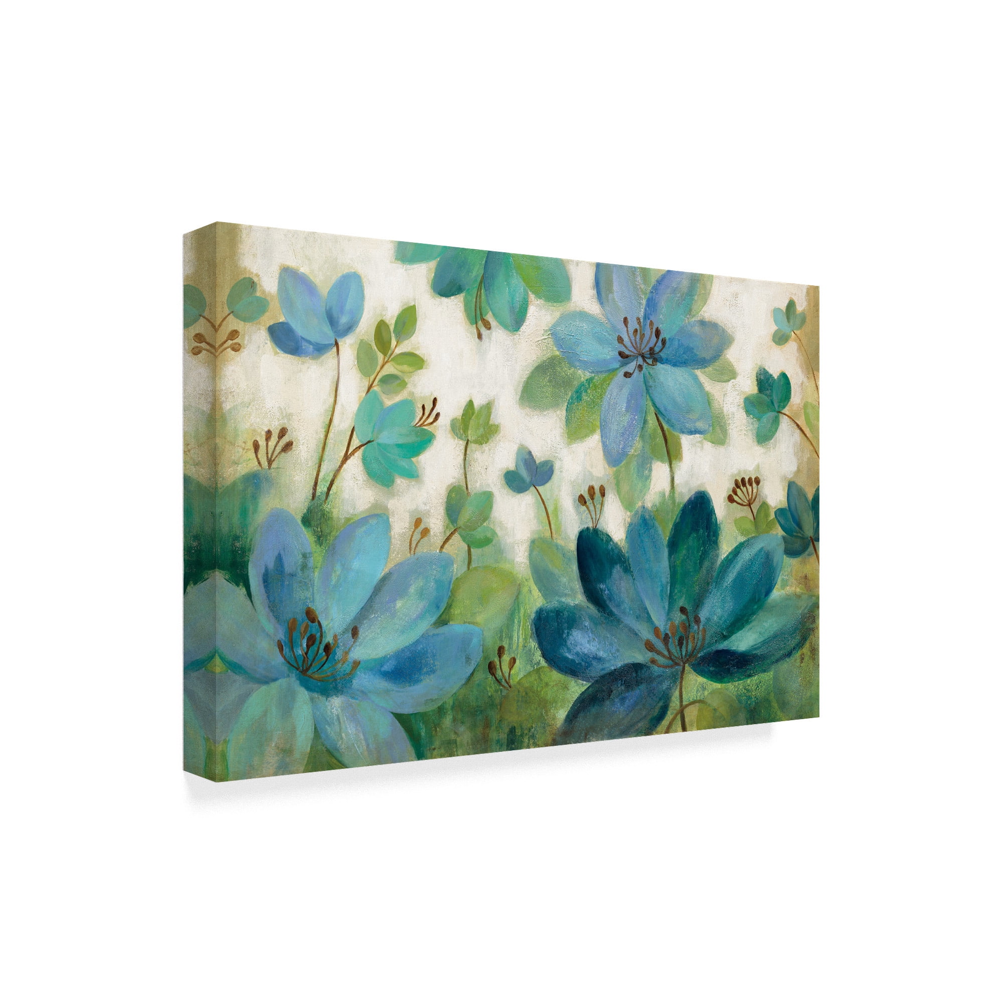 Trademark Fine Art 'Peacock Bloom' Canvas Art by Silvia Vassileva