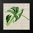 thumbnail image 2 of Urban Road 12x12 Black Modern Framed Museum Art Print Titled - Araceae, 2 of 5