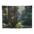 thumbnail image 5 of Orinice Sunbeam Trees Trail Tapestry Wall Hanging Unique Style Graphic Tapestries Home Decor for Living Room Bedroom Apartment Farmhouse Dorm 40x60inch, 5 of 6