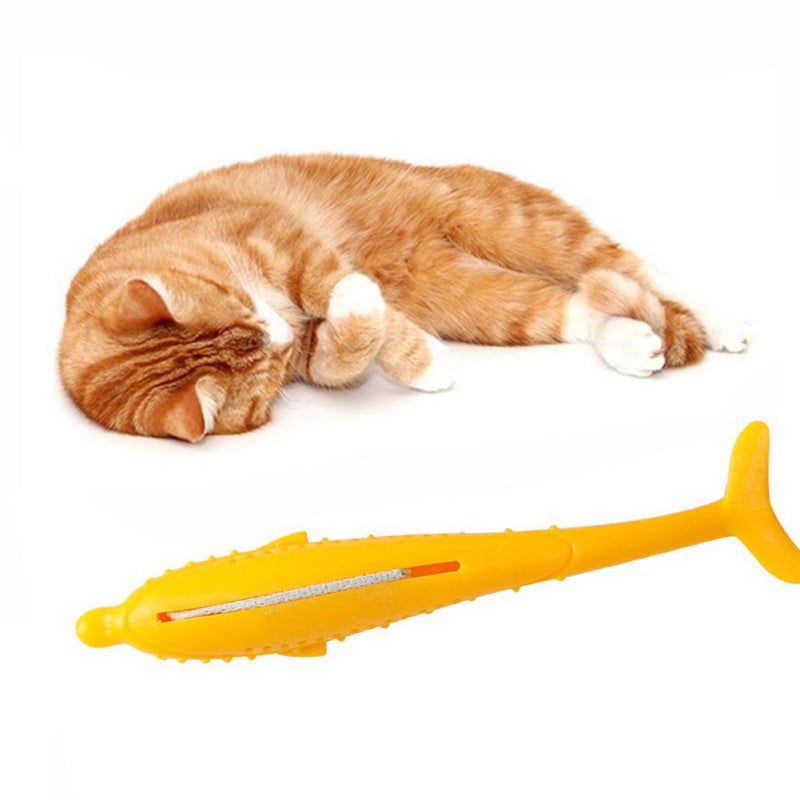 cat toothbrush toy