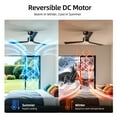 thumbnail image 3 of KISSAIR 52 In Ceiling Fan with Light and Remove Control 6 Speeds & Reversible DC Motor,3 Color Dimmable LED, Ultra Quiet 45dB, Timer Function (Black), 3 of 10