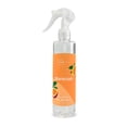 thumbnail image 1 of Home Spray Alta Mainstays Maracuyá 250 Ml, 1 of 4