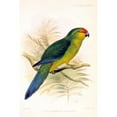 thumbnail image 3 of Smit, Joseph 11x14 Black Modern Framed Museum Art Print Titled - Parrot, Saisseti, 3 of 5