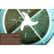SproutStacker 2 Level Automatic Sprouter Machine by Bright Kitchen Automated Heated Seed Growing Sprouting Machine