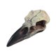 thumbnail image 4 of Figura de calavera de Halloween, adorno de calavera, decoración, collar, decoración de Halloween para 60 mm x 28 mm x 225 mm, 4 of 9