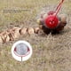 thumbnail image 3 of Recolector De Nueces Recolector De Bellota De Bellota, 3 of 7