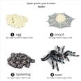 thumbnail image 1 of 40X Figuras de de Vida de Mariposa Araña Abeja Mariquita Libélula Insectos de Plástico Figuras de Insectos Juguete Proyecto Escolar para Niños, 1 of 5