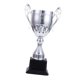 thumbnail image 5 of Trofeos de premio Trofeo pequeño para niños Copa de trofeo de premio para fútbol Fútbol Béisbol Plata S, 5 of 9
