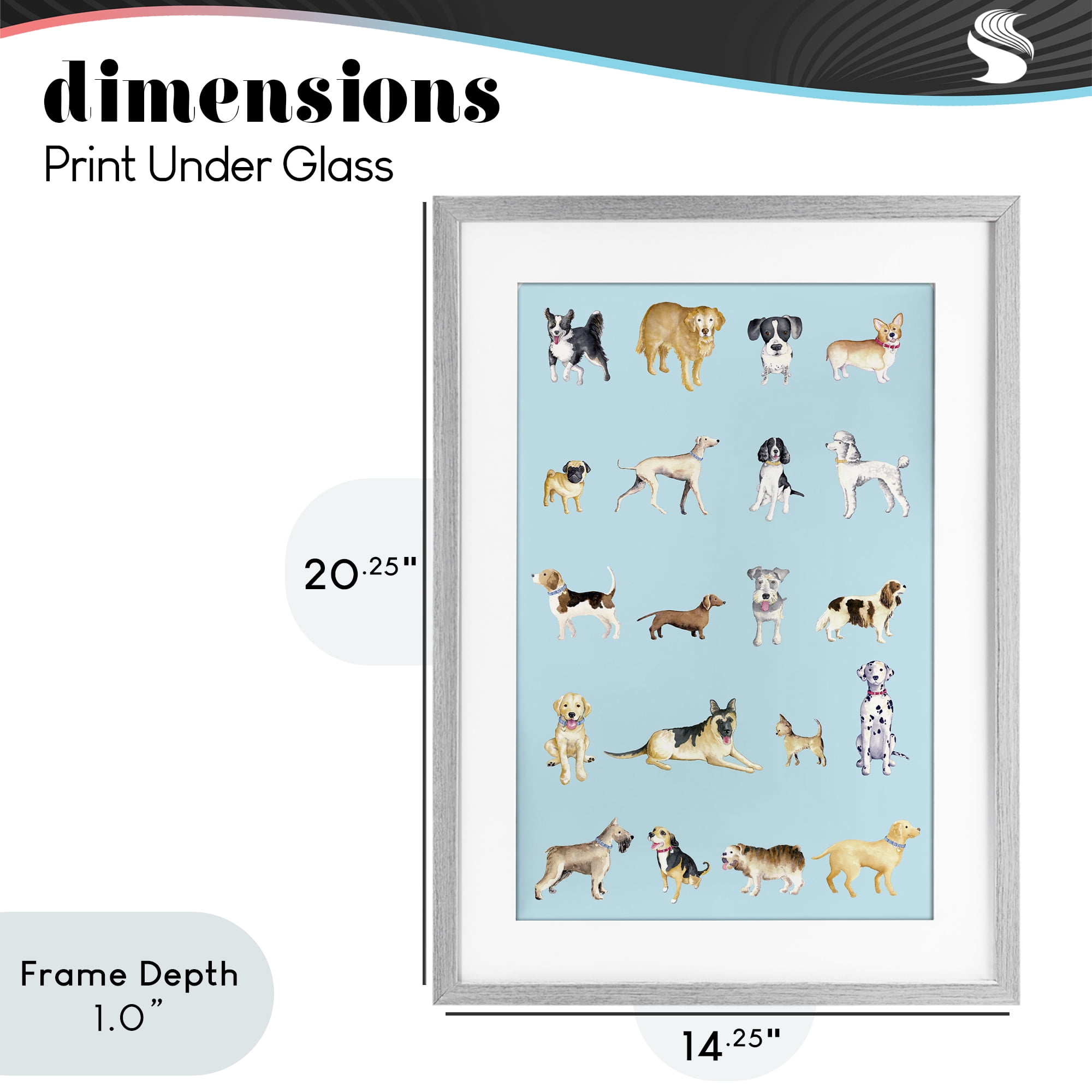 Stupell Industries Dog Breeds on Blue Gray Framed Print Under Glass, design by Andi Metz