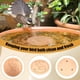 thumbnail image 5 of 2 Discos Purificadores para Baño de Pájaros. Limpiador con Soporte Estable de Triple Punto. Agua Limpia y Segura para Baño de Pájaros Al Aire Libre., 5 of 8